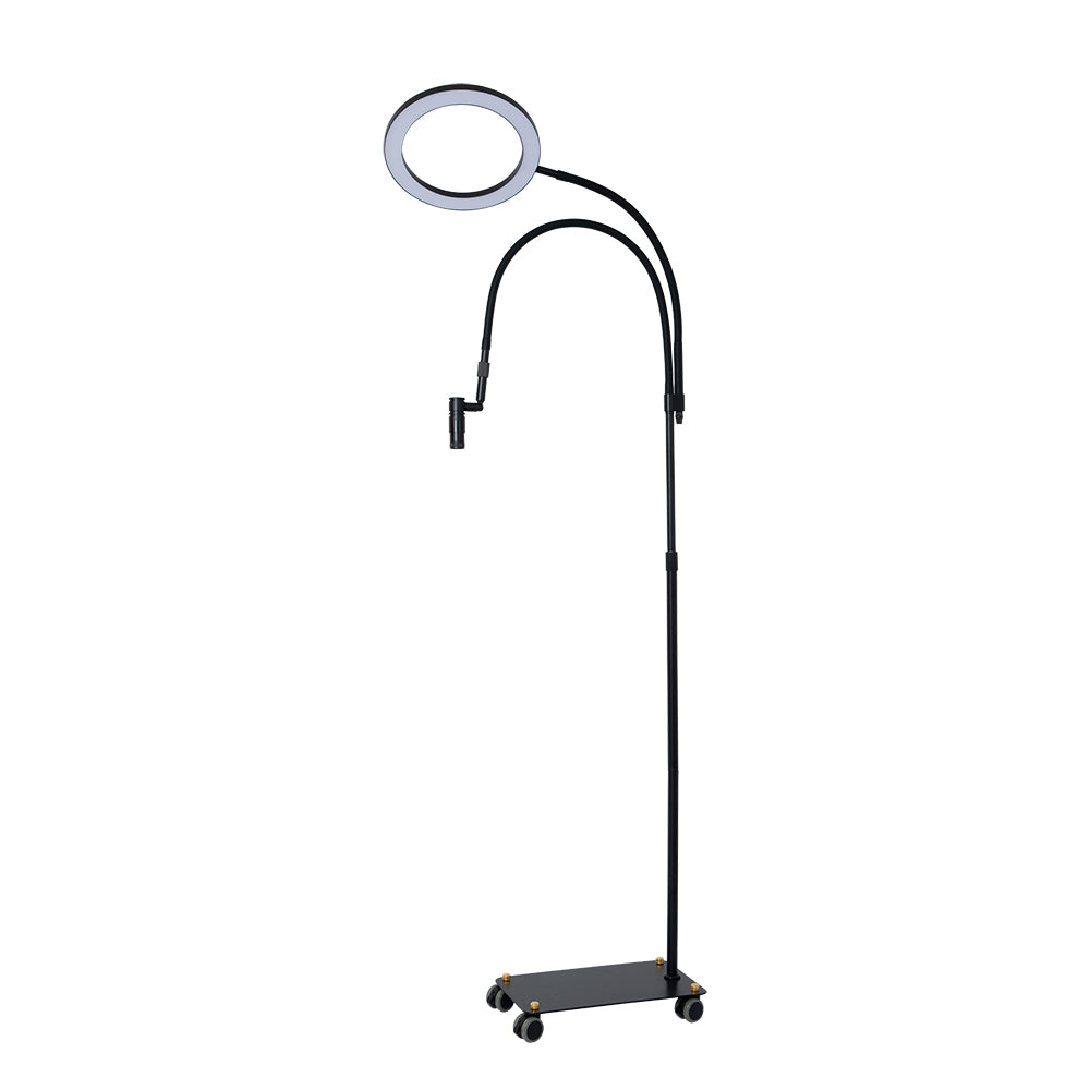 2 in 1 UV Lash System With 10 Inch Ring Light